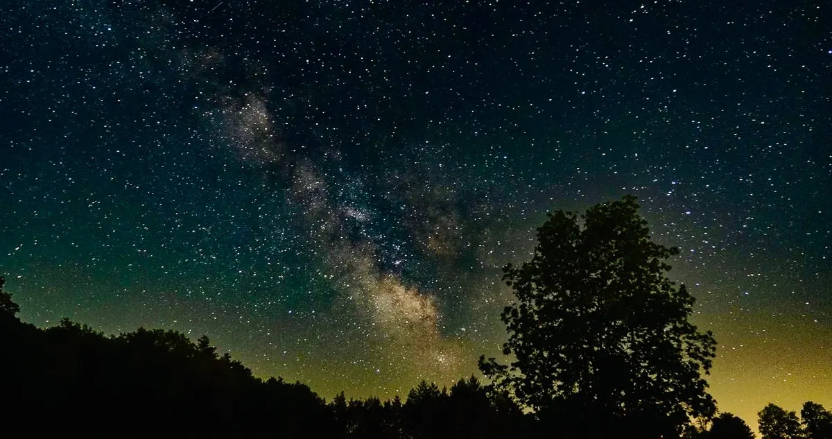 Photography by Forrest Chai - C1ECC92B-6B80-4813-B443-3CB40C8B4534