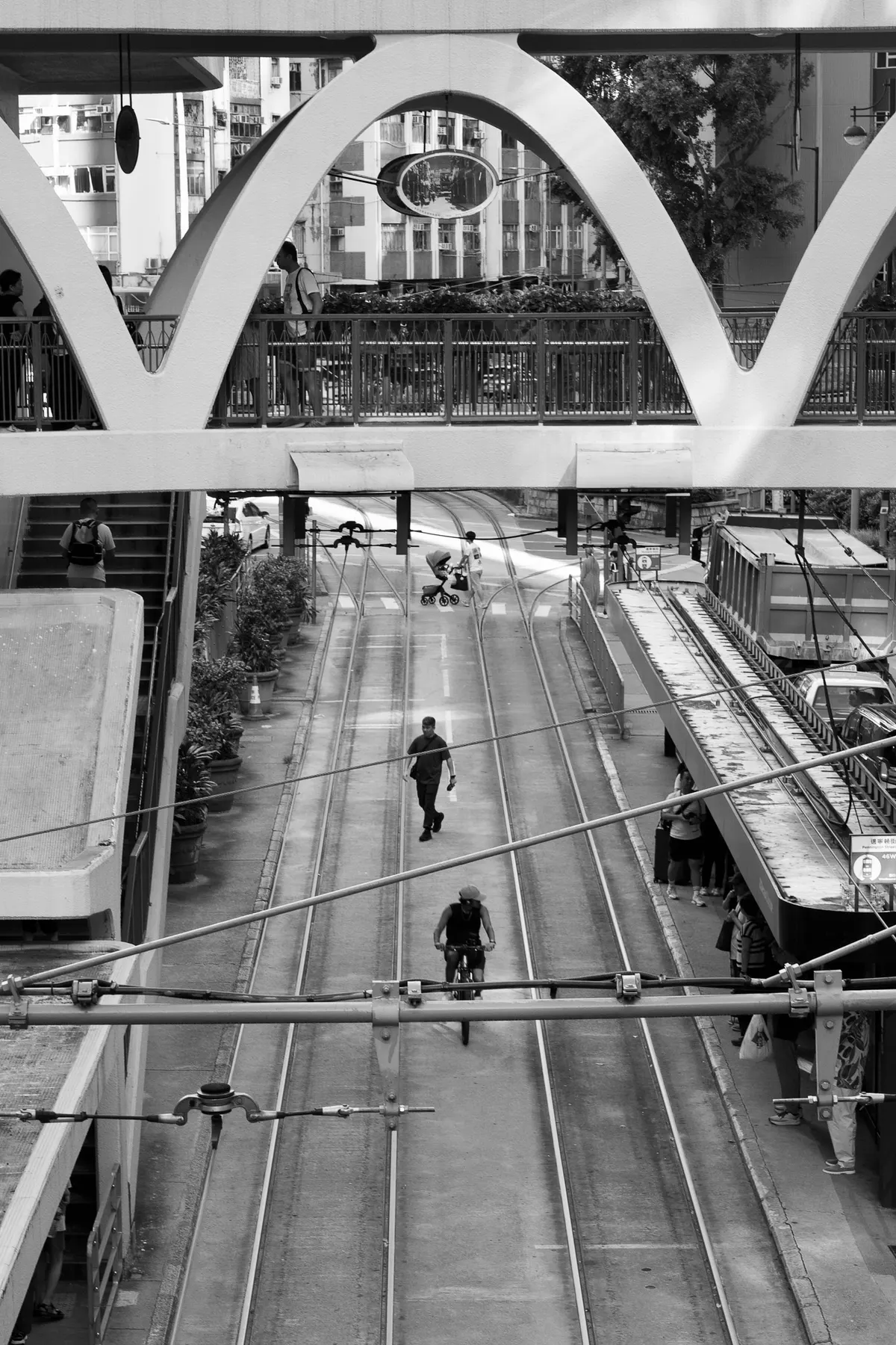 Photography by Forrest Chai - DSC07684