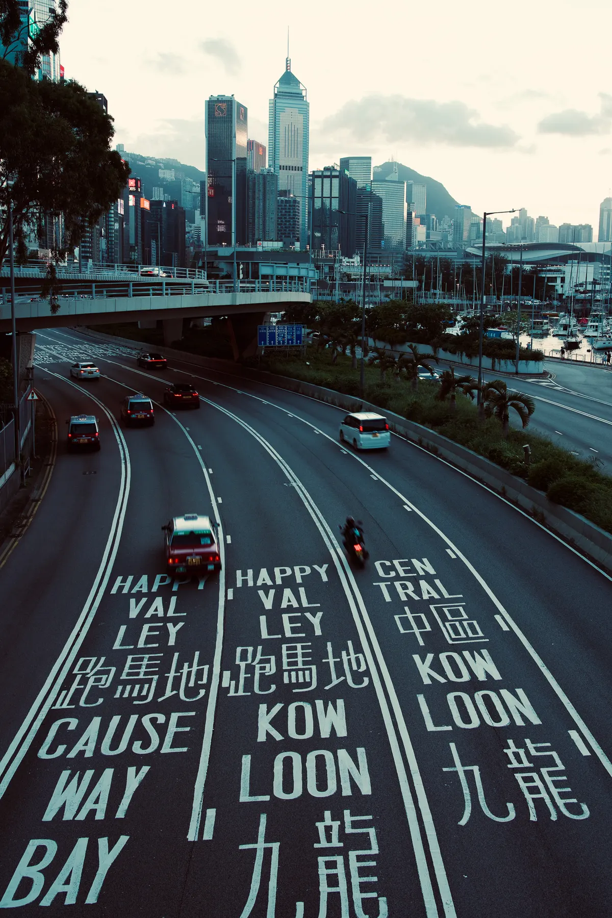 Photography by Forrest Chai - DSC07854