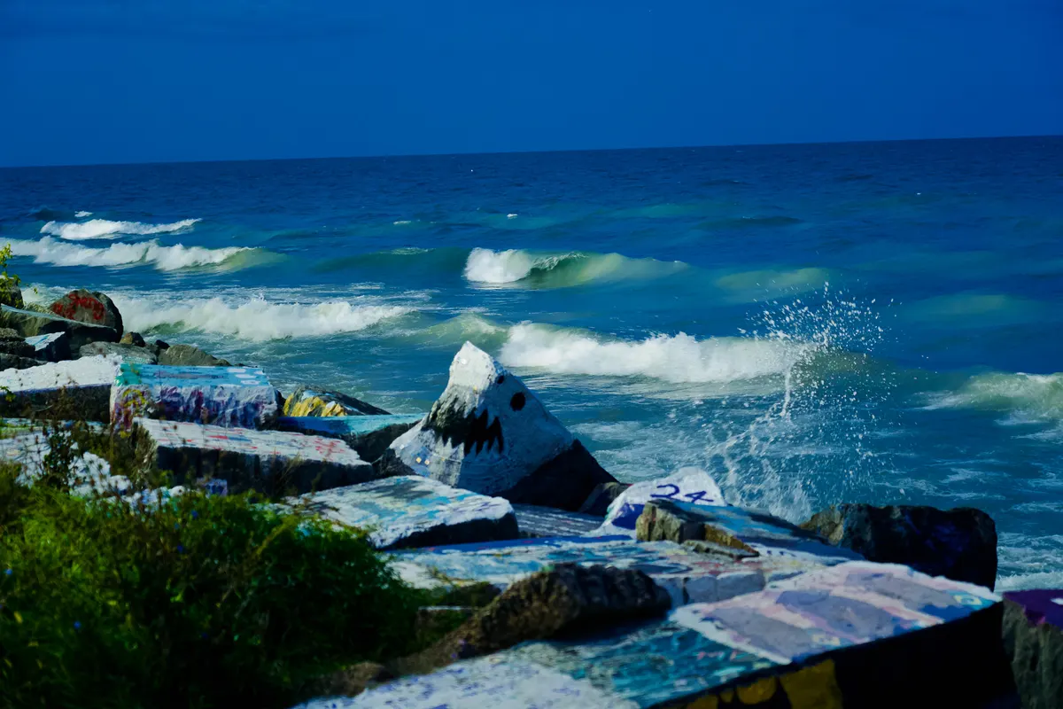 Photography by Forrest Chai - DSC08153