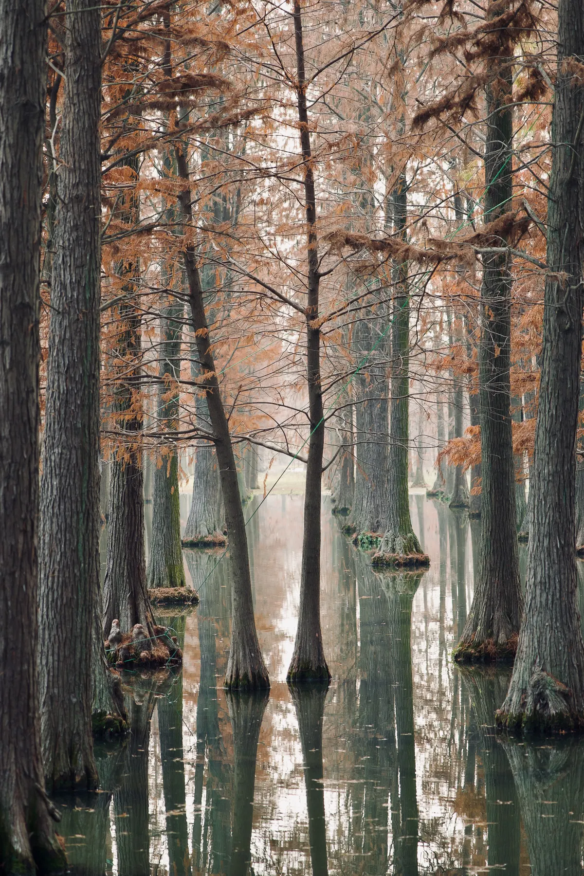 Photography by Forrest Chai - DSC08544