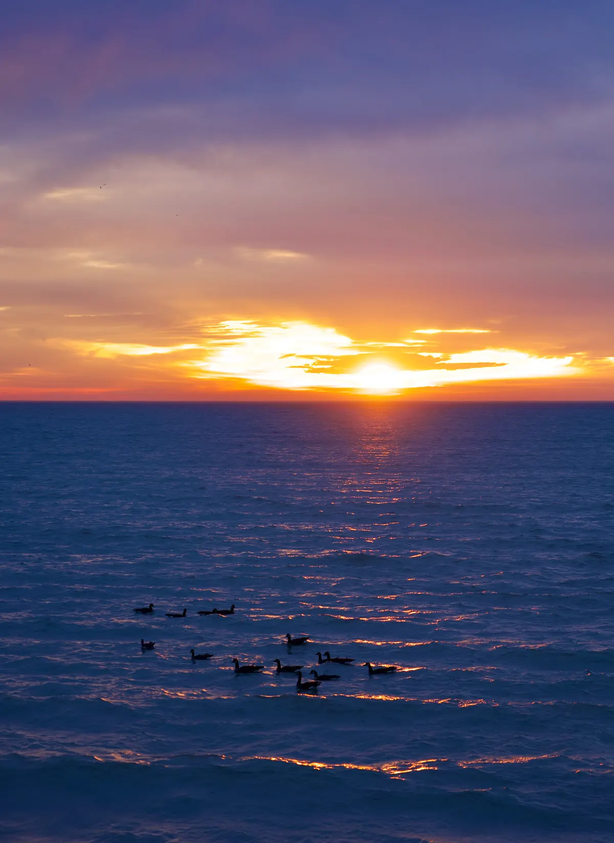 Photography by Forrest Chai - DSC08604 2