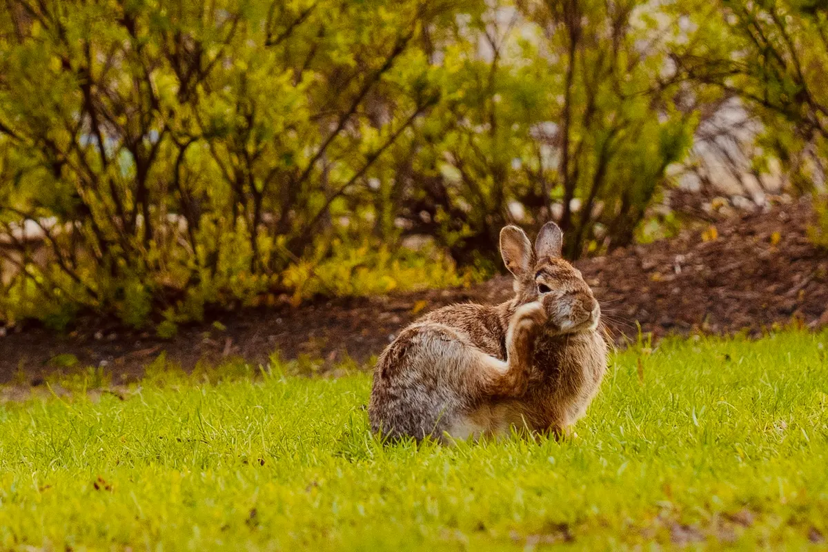 Photography by Forrest Chai - DSC08761 2