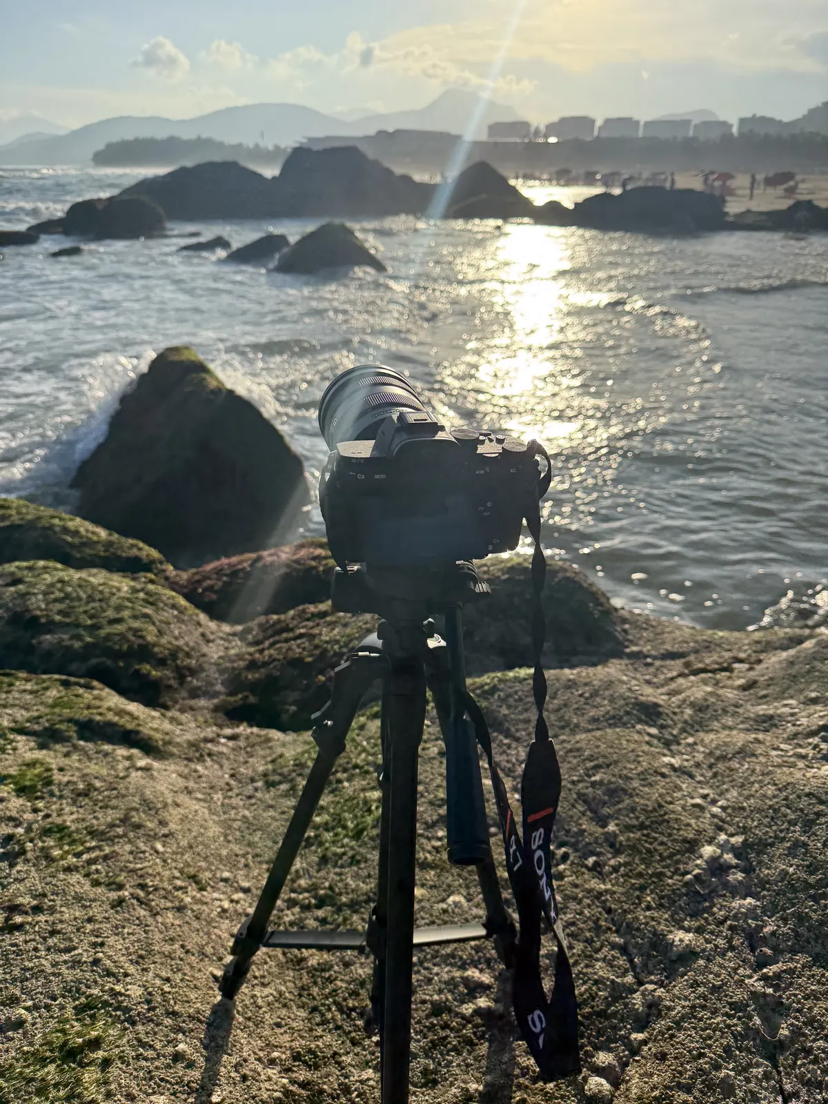Photography by Forrest Chai - IMG_8135